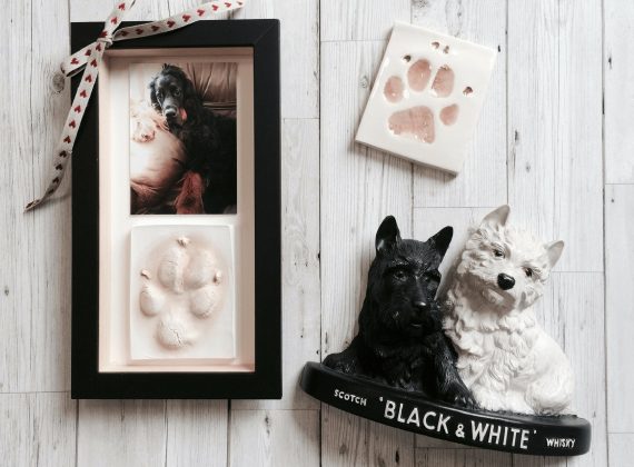 Pet Imprints | Paw Prints | Cheshire Impressions